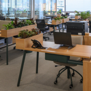 Oficinas Administrativas – C.C Oviedo